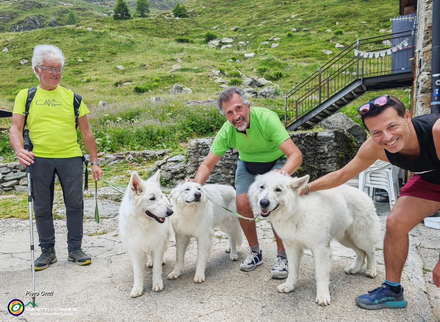 74 A Ca' San Marco, prima che piova ci godiamo questi bei cani pastore svizzeri.jpg